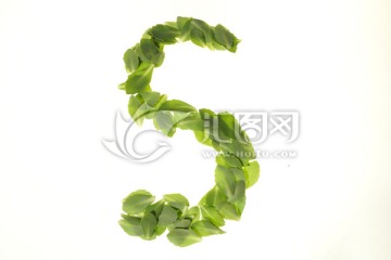 绿色树叶组成的字母S