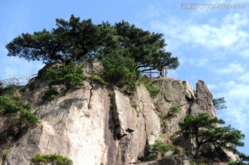 黄山 怪石 黄山松