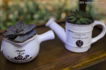 袖珍花卉