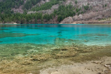 四川九寨沟孔雀海风光