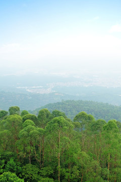 东莞水濂山森林公园