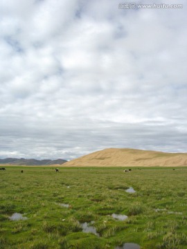 西藏阿里地区草原风光