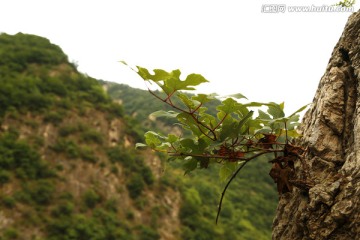 双龙湾风景