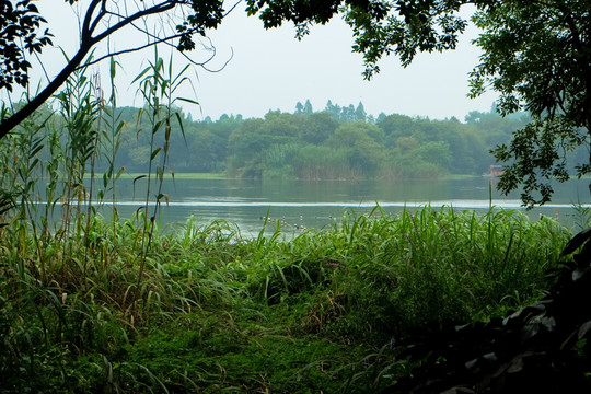 江南风景