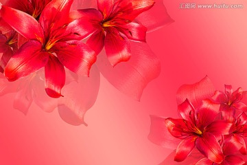 红色花朵背景墙