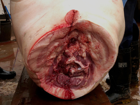 肉类食品 猪肉