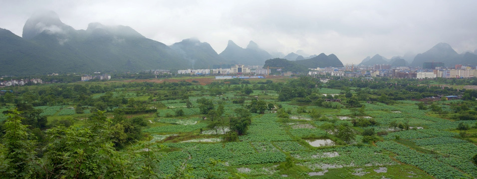 荷塘山水