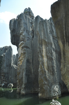 石林 喀斯特 地貌 地质 石头