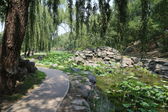 小路
