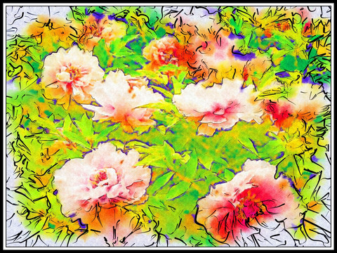 花卉水彩画