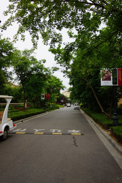 小区 道路 房地产