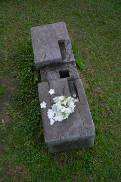 明故宫遗址石构件上的鲜花