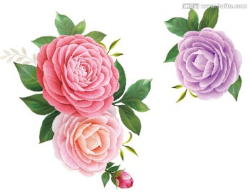朵花
