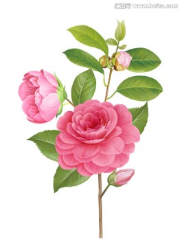 朵花
