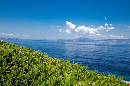 大海