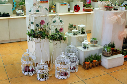 多肉植物展览