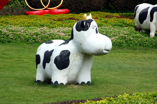 草地奶牛