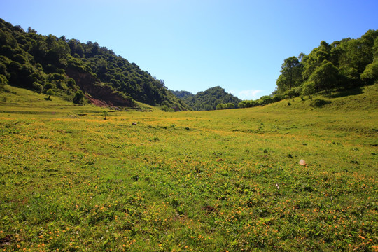 关山草原