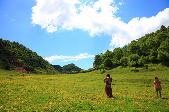 关山草原