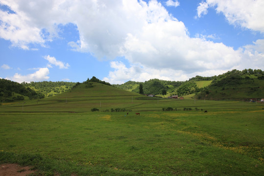 关山草原