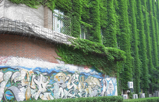 植物墙 文化墙