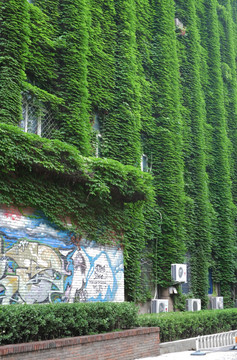 植物墙 文化墙