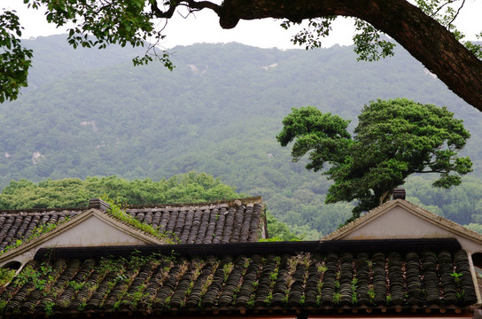 老式黑瓦屋顶建筑