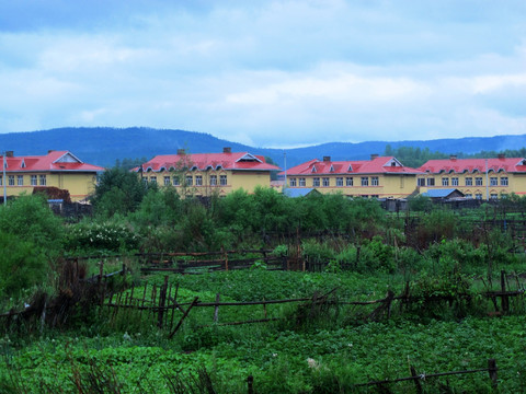 林场山村