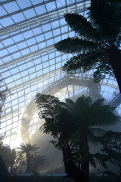 新加坡植物园大温室