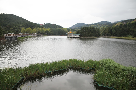 庐山如琴湖