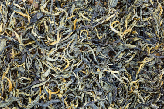 古树普洱茶