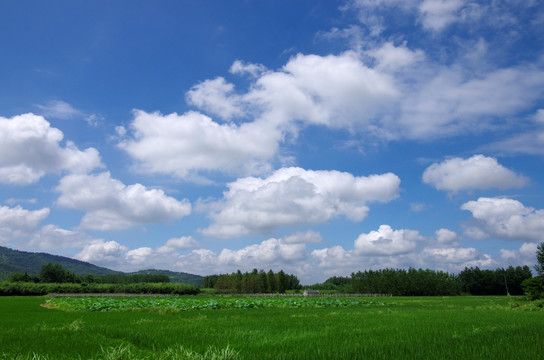 云天原野