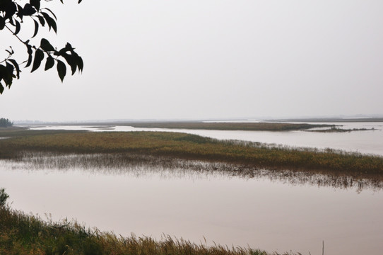 黄河