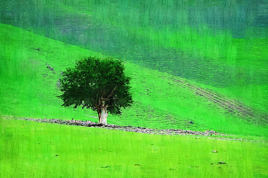 电脑画 绿色原野