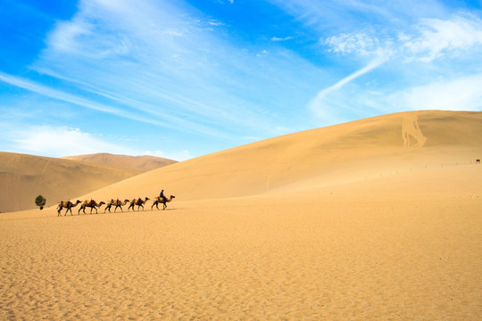 沙漠驼队西部风光