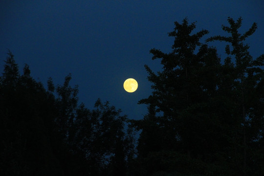 月亮 夜景