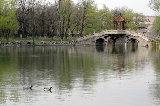 北京小汤山疗养院