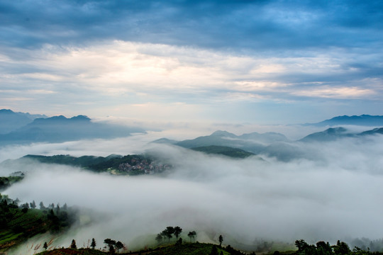 云海 云雾 山