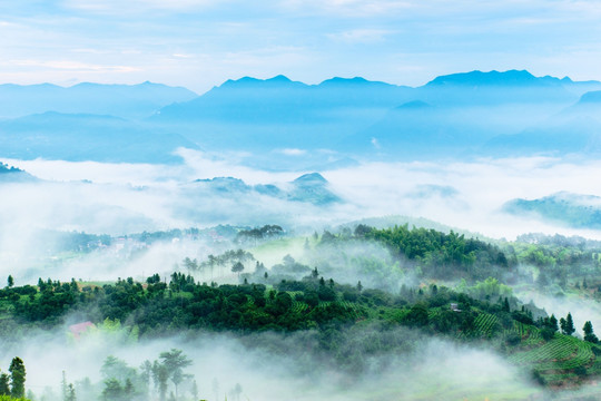 云海 云雾 山