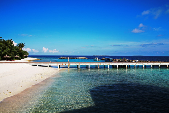 马尔代夫月桂岛