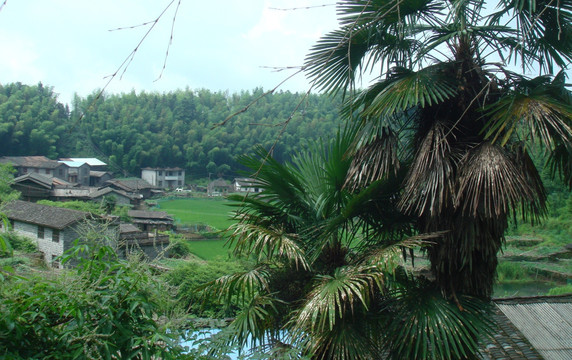 历史名村翠竹洋（火山口）