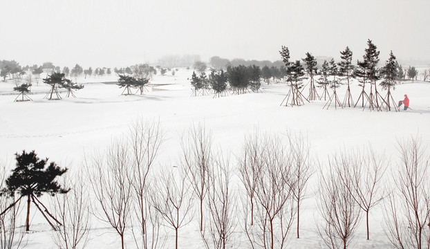 瑞雪中的沈阳原野