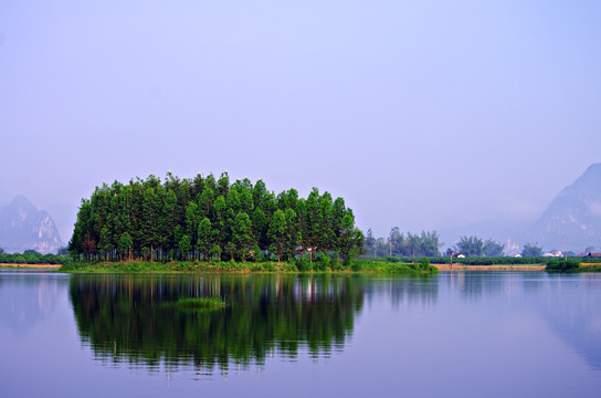 湖边小树林