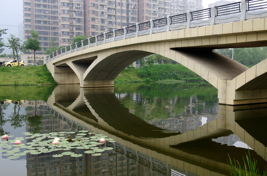 城市中的拱桥与公园河流