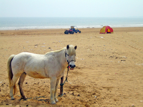 银沙滩 白马