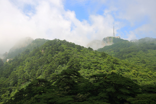 黄山