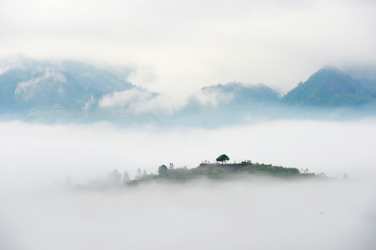 白云 小树 高山