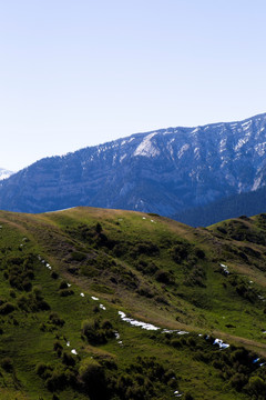 高原