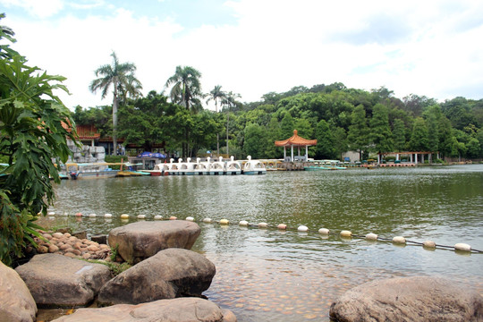 仙湖植物园