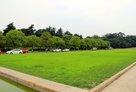 草地 草坪 绿地 雨花台